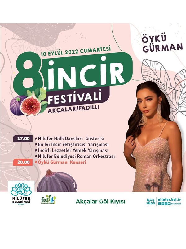 8. İncir Festivali