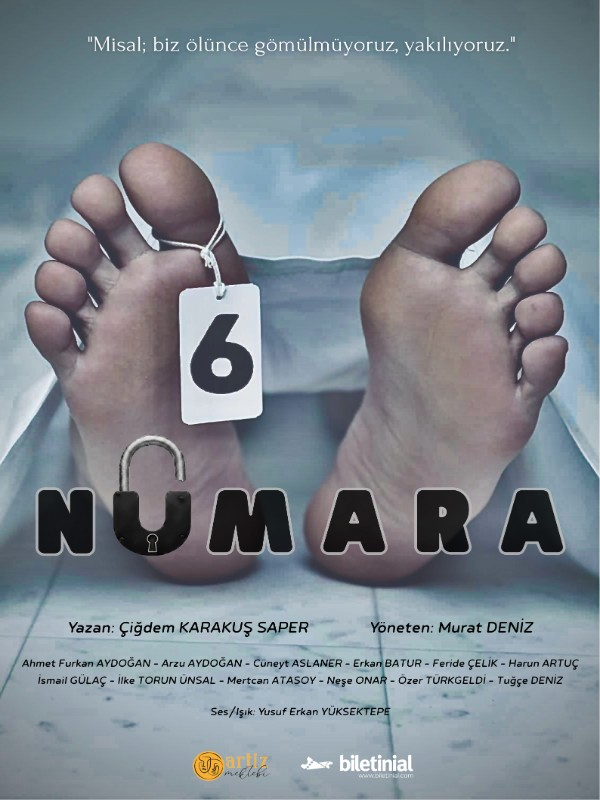 6 Numara